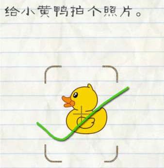 重大资产重组！又一A股宣布：停牌！周一突然涨停，4万股东要嗨？